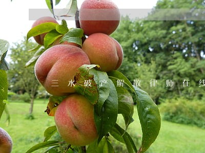三水破产解散律师在线咨询 三水破产解散律师在线咨询