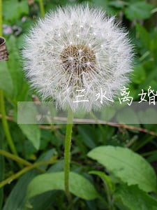 三水离婚律师咨询