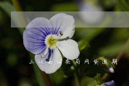 三江县公安局网贷逾期 三江县公安局网贷逾期