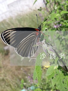 三沙债务合同律师事务所 三沙债务合同律师事务所