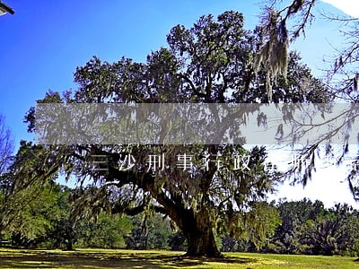 三沙刑事行政律师电话热线 三沙刑事行政律师电话热线