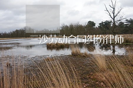 三沙劳动合同纠纷律师 三沙劳动合同纠纷律师
