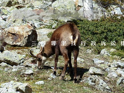 三沙哪里找行政诉讼律师便宜 三沙哪里找行政诉讼律师便宜