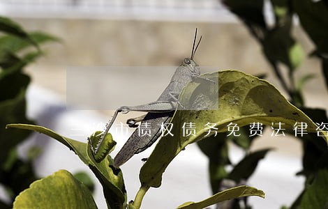 三沙市债权债务免费法律咨询