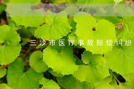 三沙市医疗事故赔偿纠纷律师 三沙市医疗事故赔偿纠纷律师