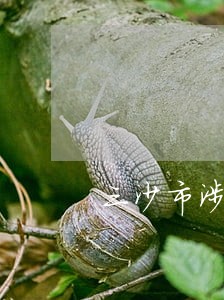 三沙市涉外法律律师咨询电话 三沙市涉外法律律师咨询电话