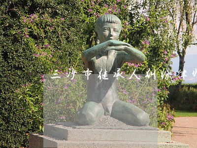 三沙市继承人纠纷律师 三沙市继承人纠纷律师