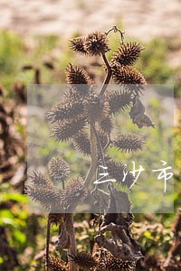 三沙市车祸事故该如何诉讼 三沙市车祸事故该如何诉讼