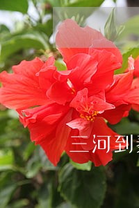 三河到秦皇岛法院多远 三河到秦皇岛法院多远