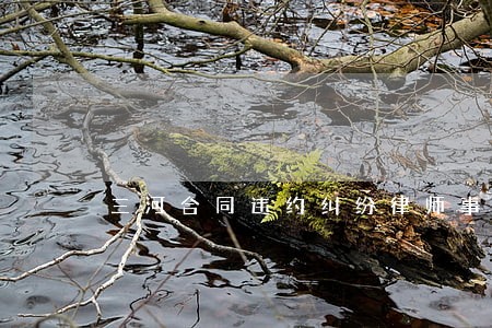 三河合同违约纠纷律师事务所排名 三河合同违约纠纷律师事务所排名