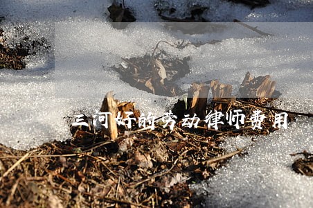 三河好的劳动律师费用 三河好的劳动律师费用