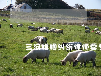 三河婚姻纠纷律师要多少钱 三河婚姻纠纷律师要多少钱