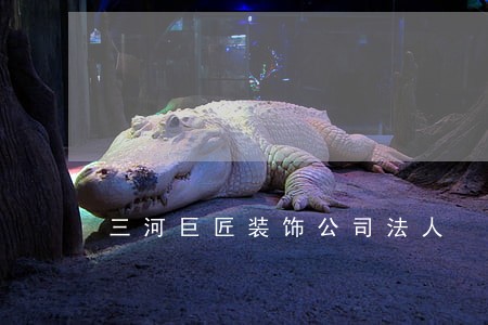 三河巨匠装饰公司法人 三河巨匠装饰公司法人