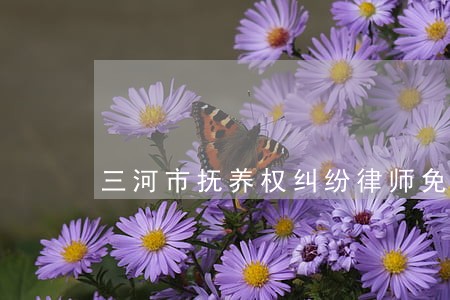 三河市抚养权纠纷律师免费咨询 三河市抚养权纠纷律师免费咨询