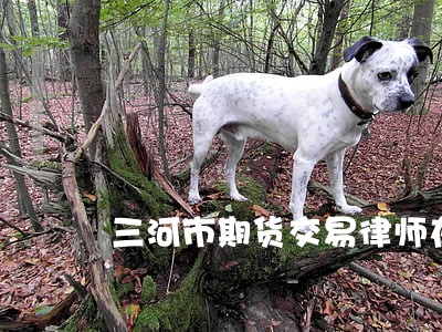 三河市期货交易律师在线免费咨询 三河市期货交易律师在线免费咨询