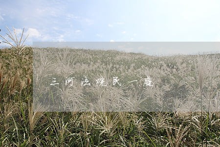 三河法院民一庭 三河法院民一庭