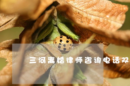 三河离婚律师咨询电话双水碾