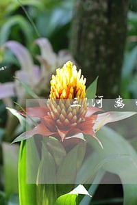 三河离婚律师咨询费用 三河离婚律师咨询费用