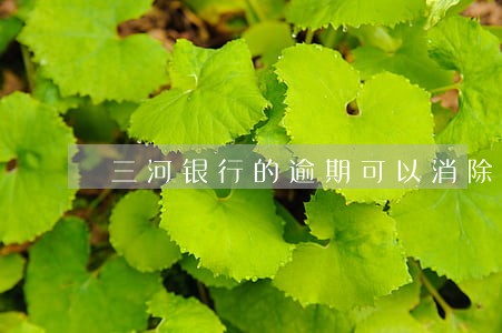 三河银行的逾期可以消除吗 三河银行的逾期可以消除吗