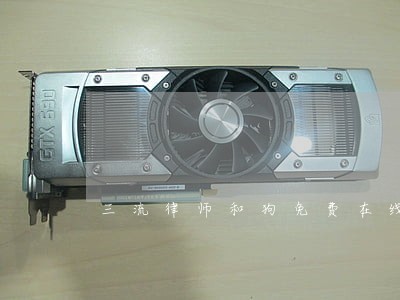 三流律师和狗免费在线阅读