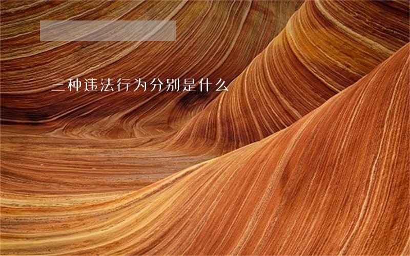 三种违法行为分别是什么 三种违法行为分别是什么