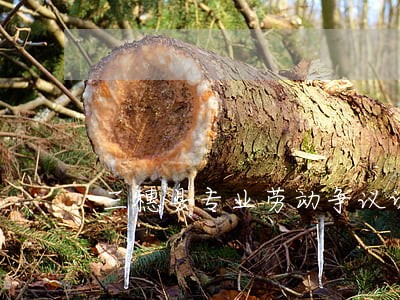 三穗县专业劳动争议调解律师 三穗县专业劳动争议调解律师