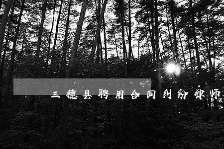 三穗县聘用合同纠纷律师 三穗县聘用合同纠纷律师