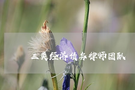 三类经济债务律师团队 三类经济债务律师团队