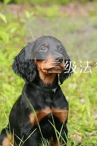 三级法律顾问是什么意思 三级法律顾问是什么意思