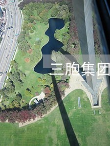三胞集团理财产品逾期 三胞集团理财产品逾期