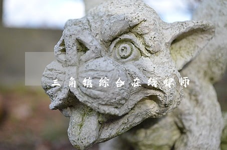 三角镇综合在线律师 三角镇综合在线律师