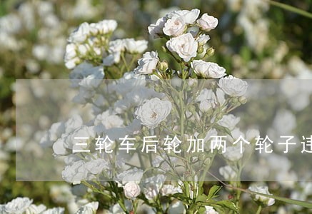 三轮车后轮加两个轮子违法么 三轮车后轮加两个轮子违法么