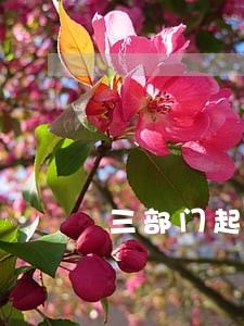 三部门起草不动产登记条例 三部门起草不动产登记条例