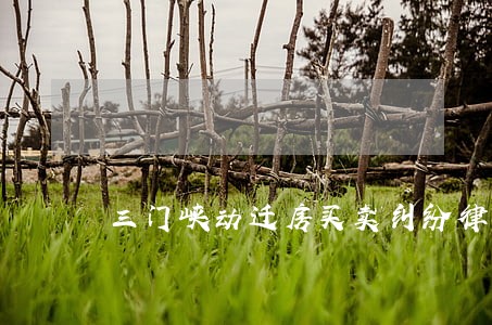 三门峡动迁房买卖纠纷律师 三门峡动迁房买卖纠纷律师