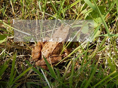 三门峡劳动合同法律咨询网 三门峡劳动合同法律咨询网