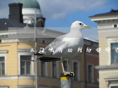三门峡劳动纠纷律师咨询电话