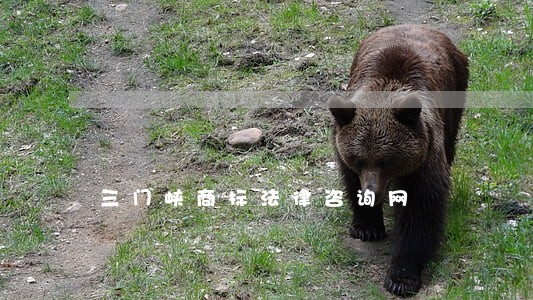 三门峡商标法律咨询网 三门峡商标法律咨询网