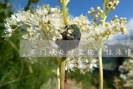 三门峡处理监视居住法律问题律师 三门峡处理监视居住法律问题律师