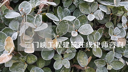 三门峡工程建筑在线律师咨询 三门峡工程建筑在线律师咨询