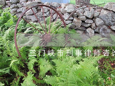 三门峡市刑事律师咨询 三门峡市刑事律师咨询