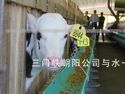 三门峡朝阳公司与水一方诉讼 三门峡朝阳公司与水一方诉讼