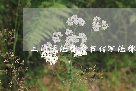 三门峡法律文书代写法律咨询热线