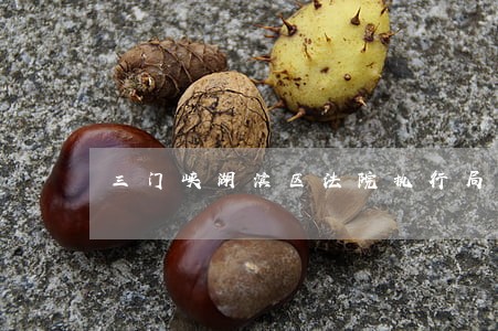 三门峡湖滨区法院执行局