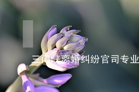 三门峡离婚纠纷官司专业律师