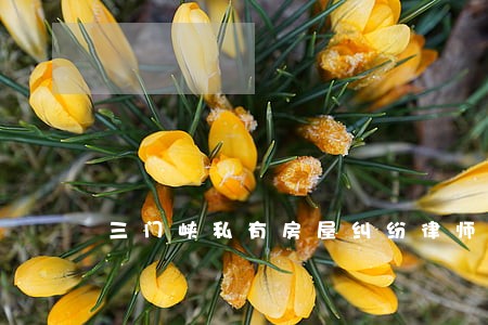 三门峡私有房屋纠纷律师服务平台 三门峡私有房屋纠纷律师服务平台