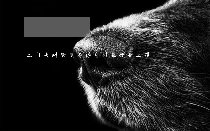 三门峡网贷逾期停息挂账债务止损 三门峡网贷逾期停息挂账债务止损