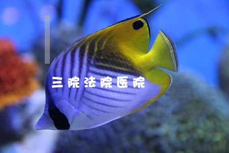 三院法院医院 三院法院医院