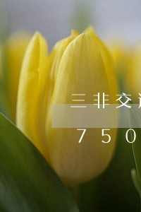 三非交通违法整治/2023020496750 三非交通违法整治/2023020496750