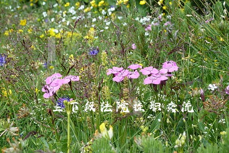 上下级法院挂职交流 上下级法院挂职交流