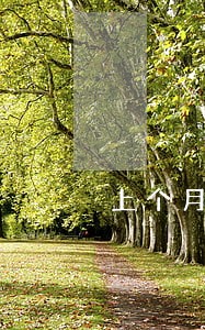 上个月信用卡逾期怎么办怎么还
